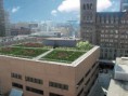 /album/green-roofs/milwaukee-gr-jpg/